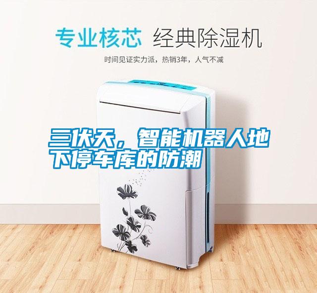 三伏天,智能機(jī)器人地下停車(chē)庫(kù)的防潮