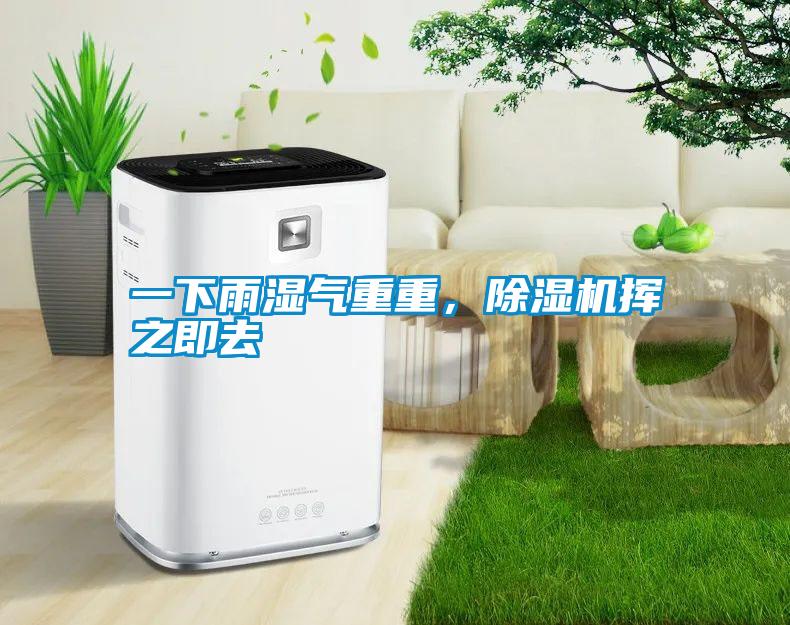 一下雨濕氣重重,除濕機(jī)揮之即去