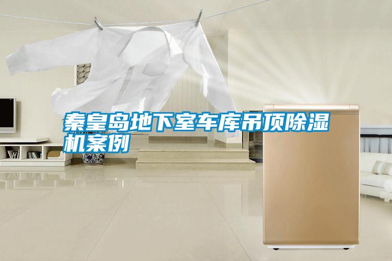 秦皇島地下室車庫(kù)吊頂除濕機(jī)案例