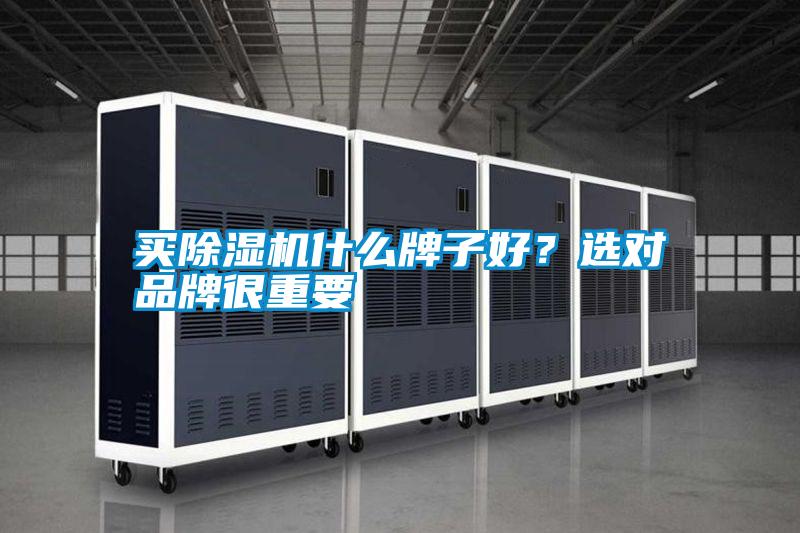 買除濕機(jī)什么牌子好？選對品牌很重要
