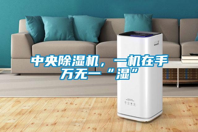 中央除濕機，一機在手萬無一“濕”