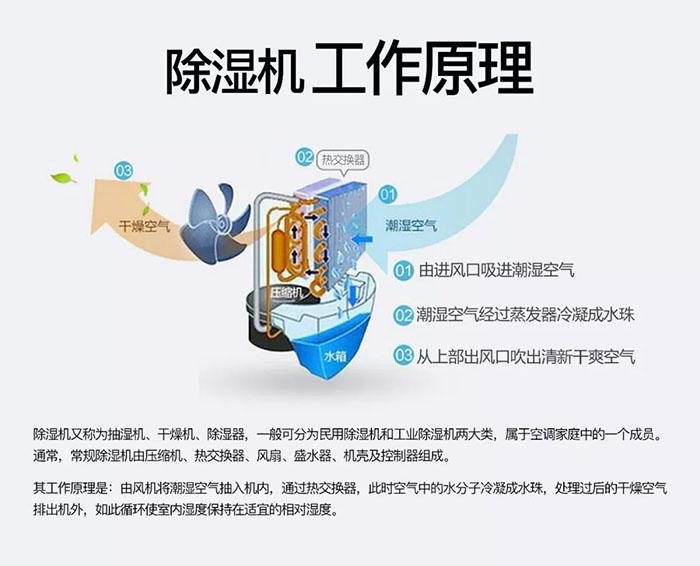 你們見(jiàn)過(guò)回南天電梯罷工嗎？