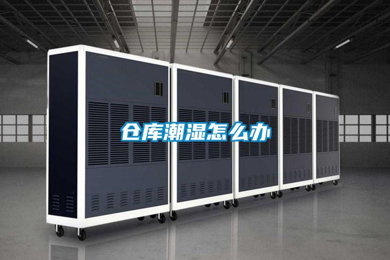 倉(cāng)庫(kù)潮濕怎么辦