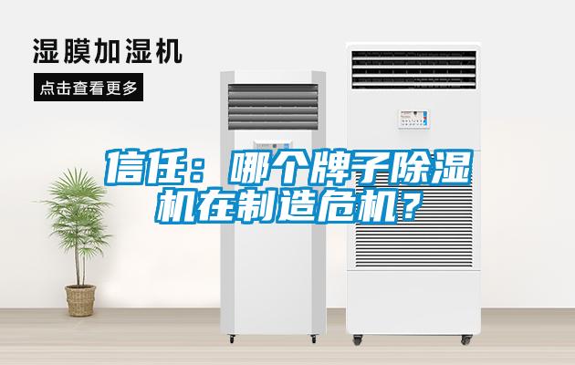 信任：哪個牌子除濕機在制造危機？