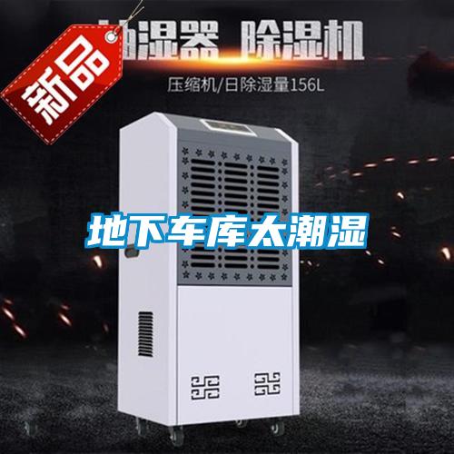 地下車(chē)庫(kù)太潮濕