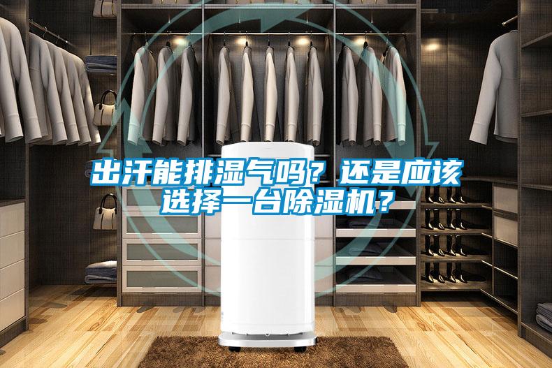 出汗能排濕氣嗎？還是應(yīng)該選擇一臺(tái)除濕機(jī)？
