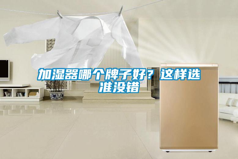 加濕器哪個牌子好？這樣選準(zhǔn)沒錯