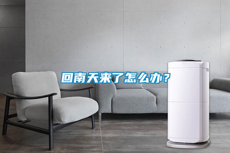 回南天來了怎么辦？