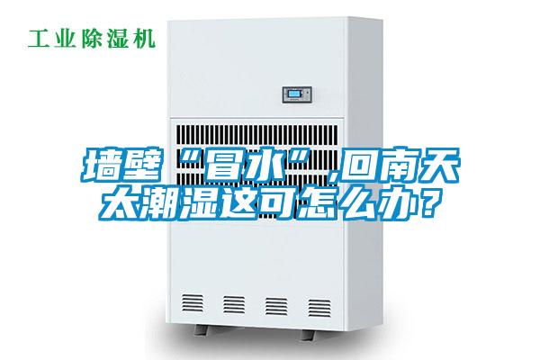 墻壁“冒水”,回南天太潮濕這可怎么辦？