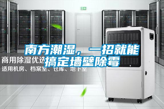 南方潮濕，一招就能搞定墻壁除霉