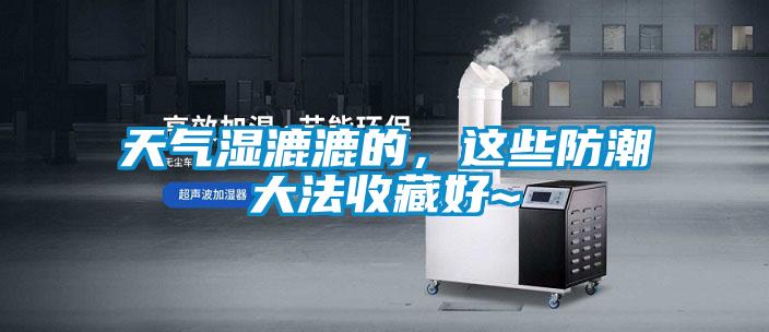 天氣濕漉漉的，這些防潮大法收藏好~