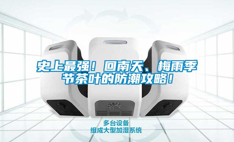 史上最強！回南天、梅雨季節(jié)茶葉的防潮攻略！