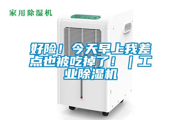 好險(xiǎn)！今天早上我差點(diǎn)也被吃掉了！｜工業(yè)除濕機(jī)