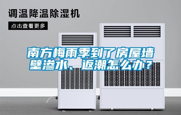 南方梅雨季到了房屋墻壁滲水、返潮怎么辦？