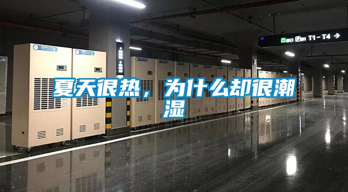 夏天很熱，為什么卻很潮濕