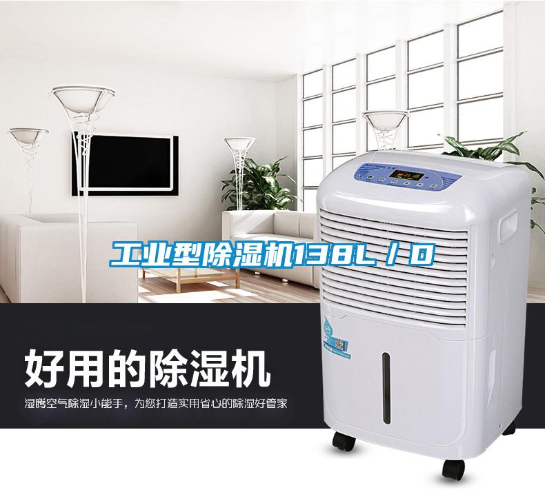 工業(yè)型除濕機138L／D