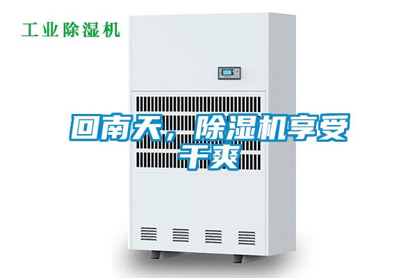 回南天，除濕機(jī)享受干爽