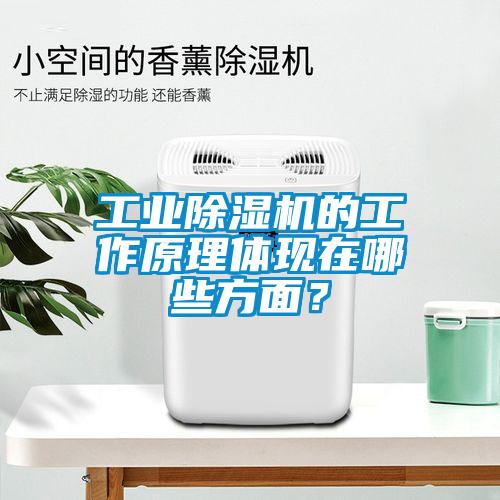 工業(yè)除濕機的工作原理體現(xiàn)在哪些方面？