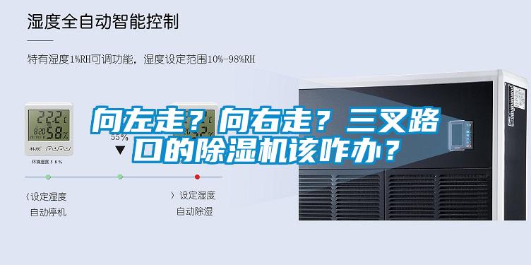 向左走？向右走？三叉路口的除濕機該咋辦？
