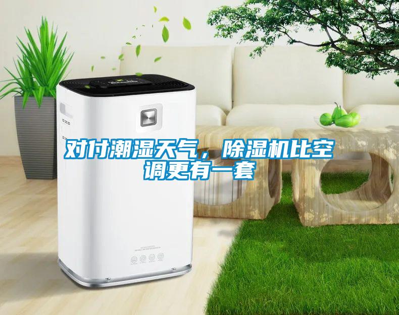 對付潮濕天氣，除濕機比空調(diào)更有一套