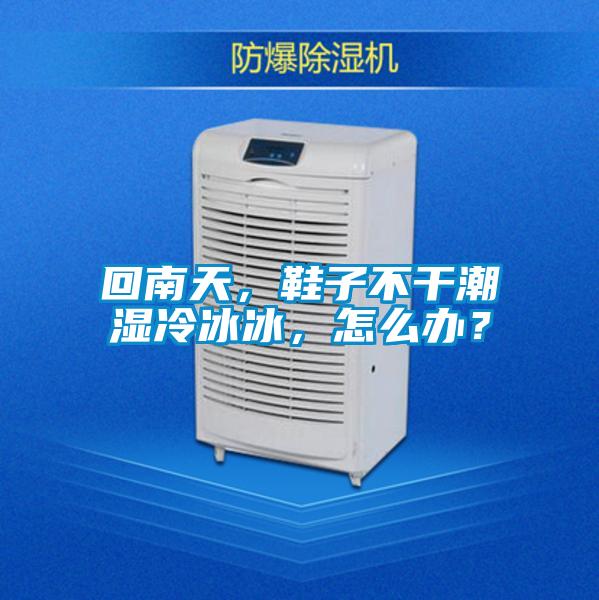 回南天，鞋子不干潮濕冷冰冰，怎么辦？