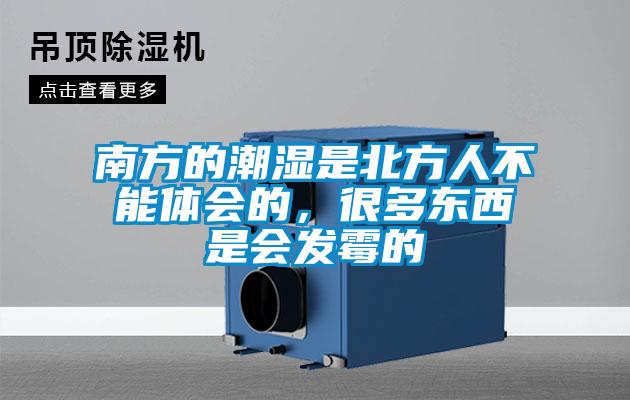 南方的潮濕是北方人不能體會(huì)的，很多東西是會(huì)發(fā)霉的