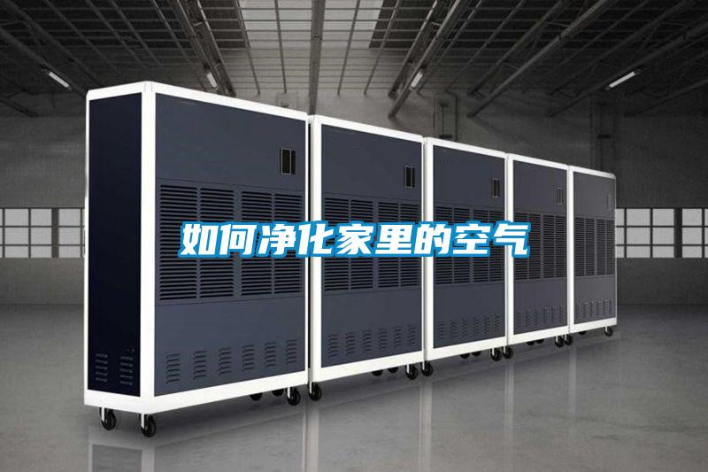 如何凈化家里的空氣