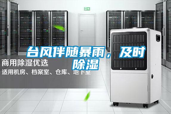 臺(tái)風(fēng)伴隨暴雨,及時(shí)除濕