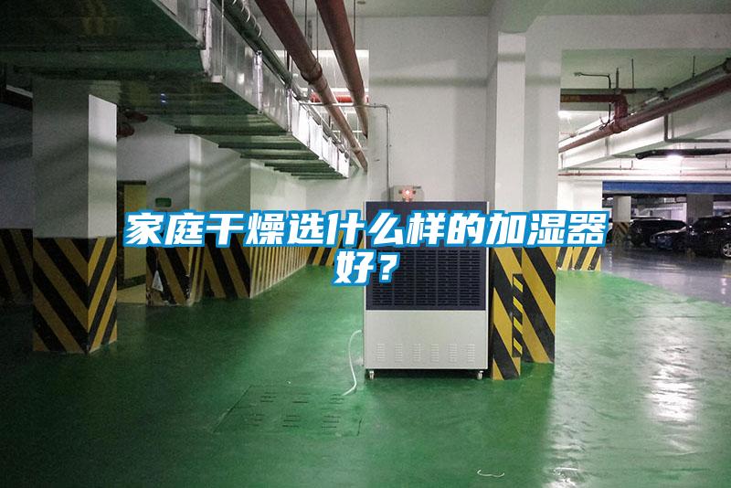 家庭干燥選什么樣的加濕器好？