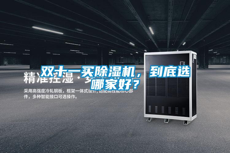 雙十一買除濕機，到底選哪家好？