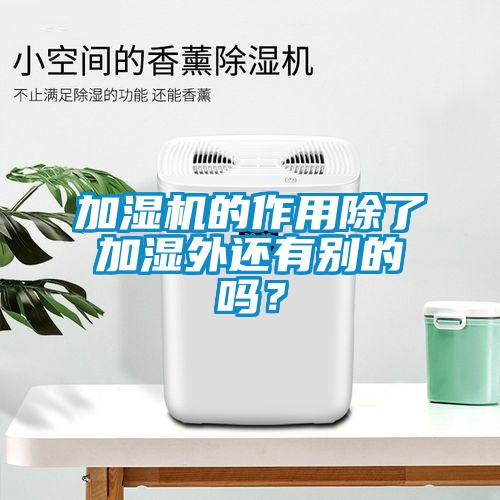 加濕機(jī)的作用除了加濕外還有別的嗎？
