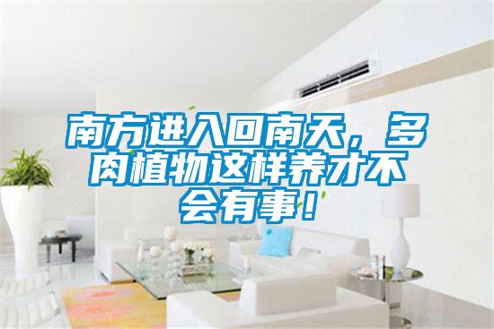 南方進(jìn)入回南天，多肉植物這樣養(yǎng)才不會有事！