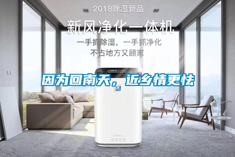 因?yàn)榛啬咸欤l(xiāng)情更怯