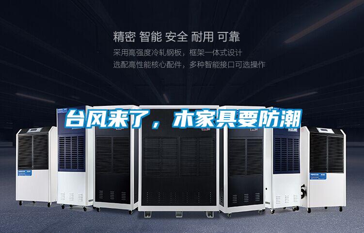 臺(tái)風(fēng)來了，木家具要防潮