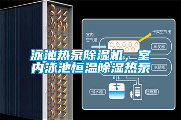 泳池熱泵除濕機，室內(nèi)泳池恒溫除濕熱泵