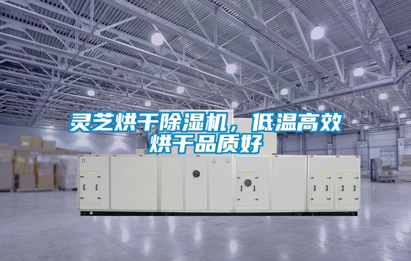 靈芝烘干除濕機(jī)，低溫高效烘干品質(zhì)好