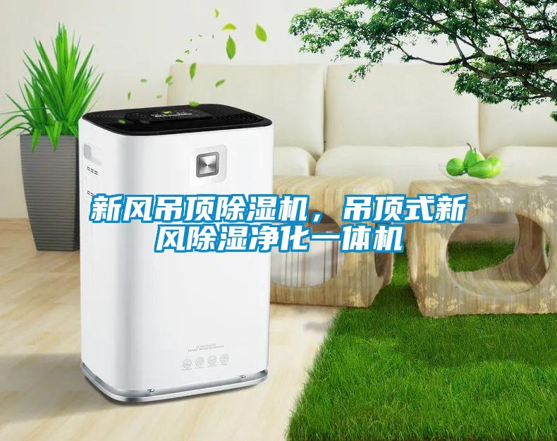 新風(fēng)吊頂除濕機(jī),吊頂式新風(fēng)除濕凈化一體機(jī)