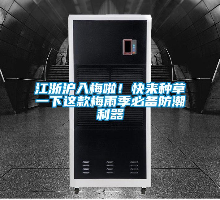 江浙滬入梅啦!快來(lái)種草一下這款梅雨季必備防潮利器