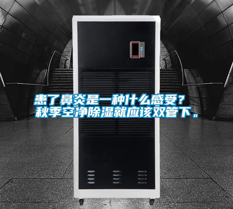 患了鼻炎是一種什么感受？ 秋季空凈除濕就應(yīng)該雙管下。