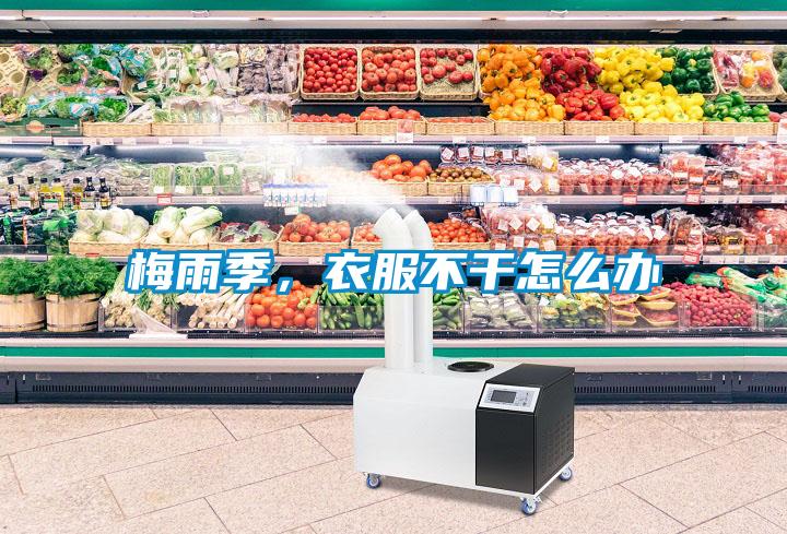 梅雨季，衣服不干怎么辦