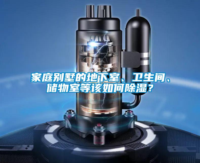 家庭別墅的地下室、衛(wèi)生間、儲物室等該如何除濕？