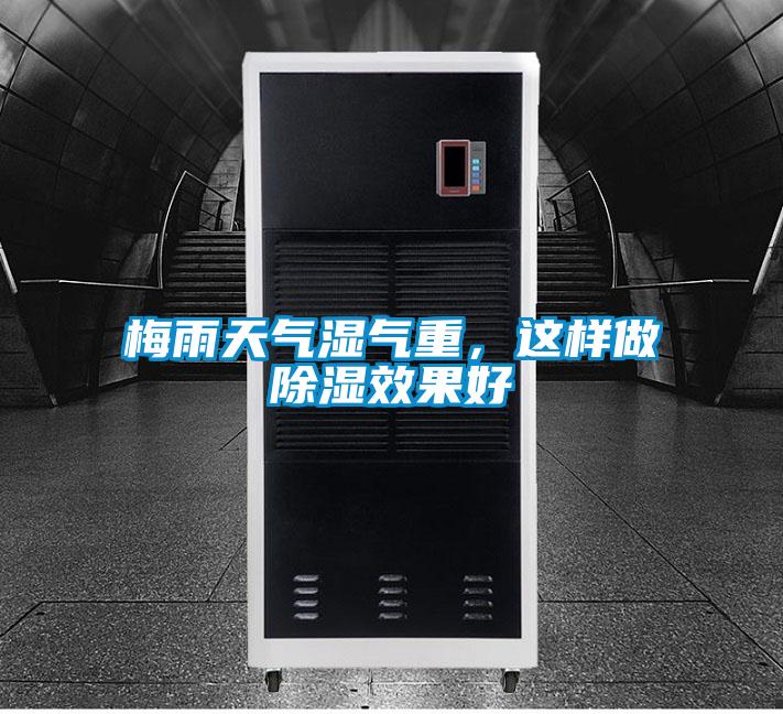 梅雨天氣濕氣重，這樣做除濕效果好