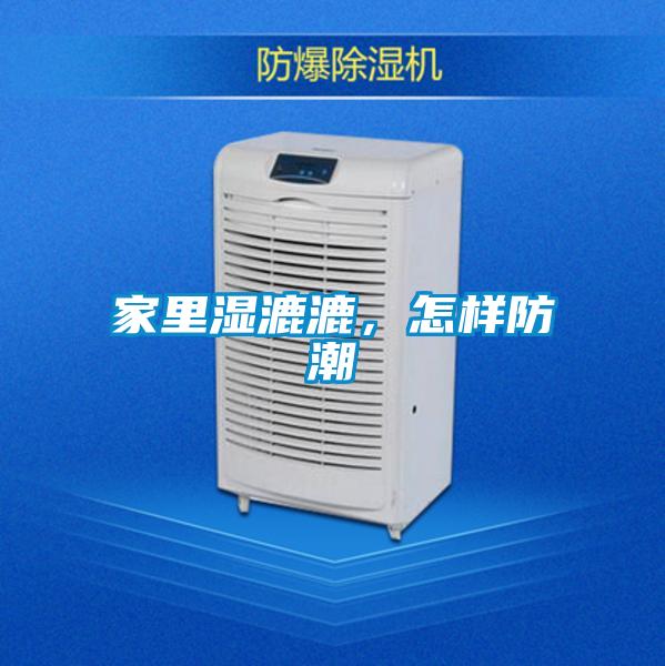 家里濕漉漉，怎樣防潮
