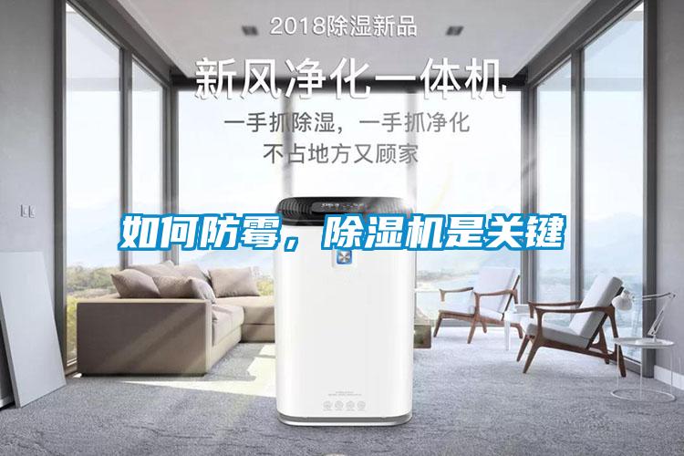 如何防霉，除濕機是關(guān)鍵