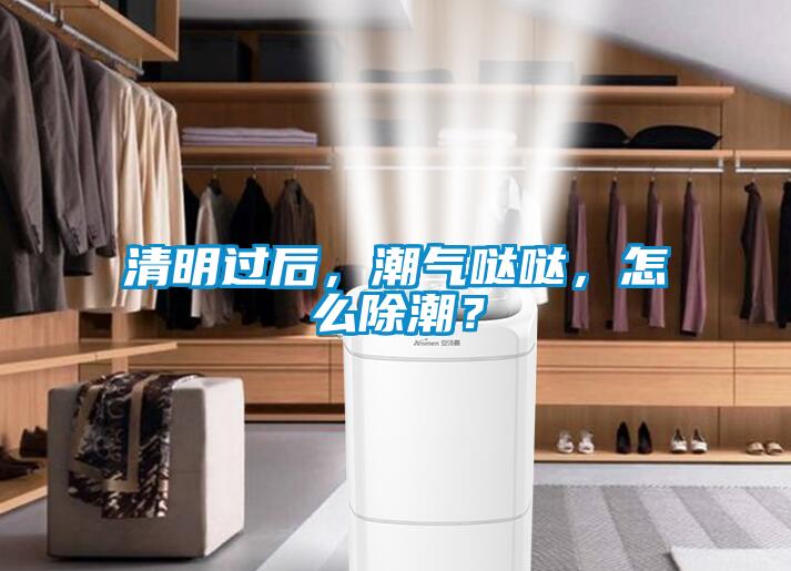 清明過后，潮氣噠噠，怎么除潮？