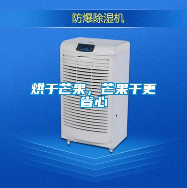 烘干芒果，芒果干更省心