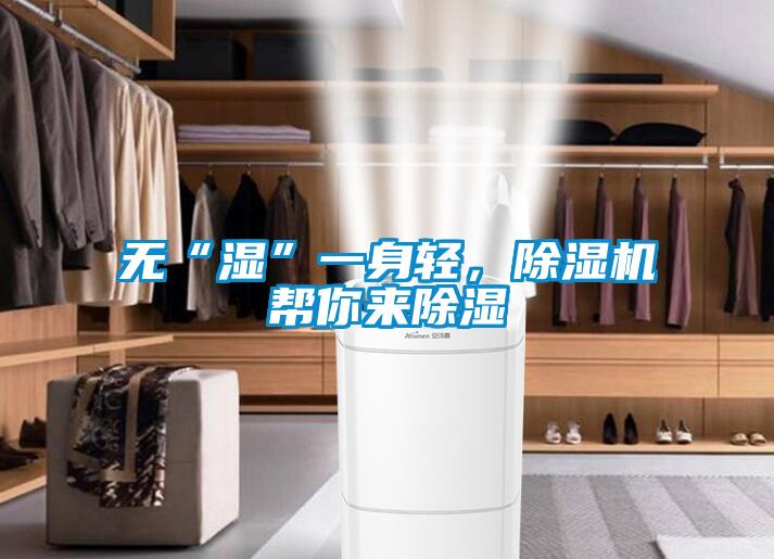 無“濕”一身輕，除濕機幫你來除濕