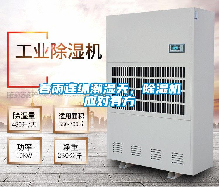 春雨連綿潮濕天，除濕機應對有方