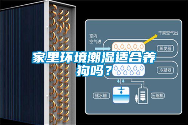 家里環(huán)境潮濕適合養(yǎng)狗嗎？