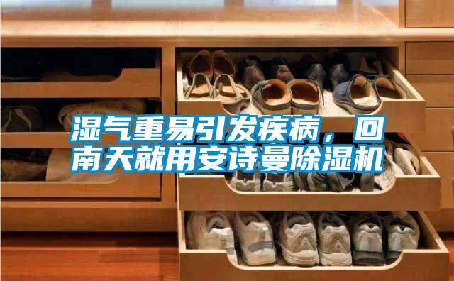 濕氣重易引發(fā)疾病，回南天就用安詩曼除濕機